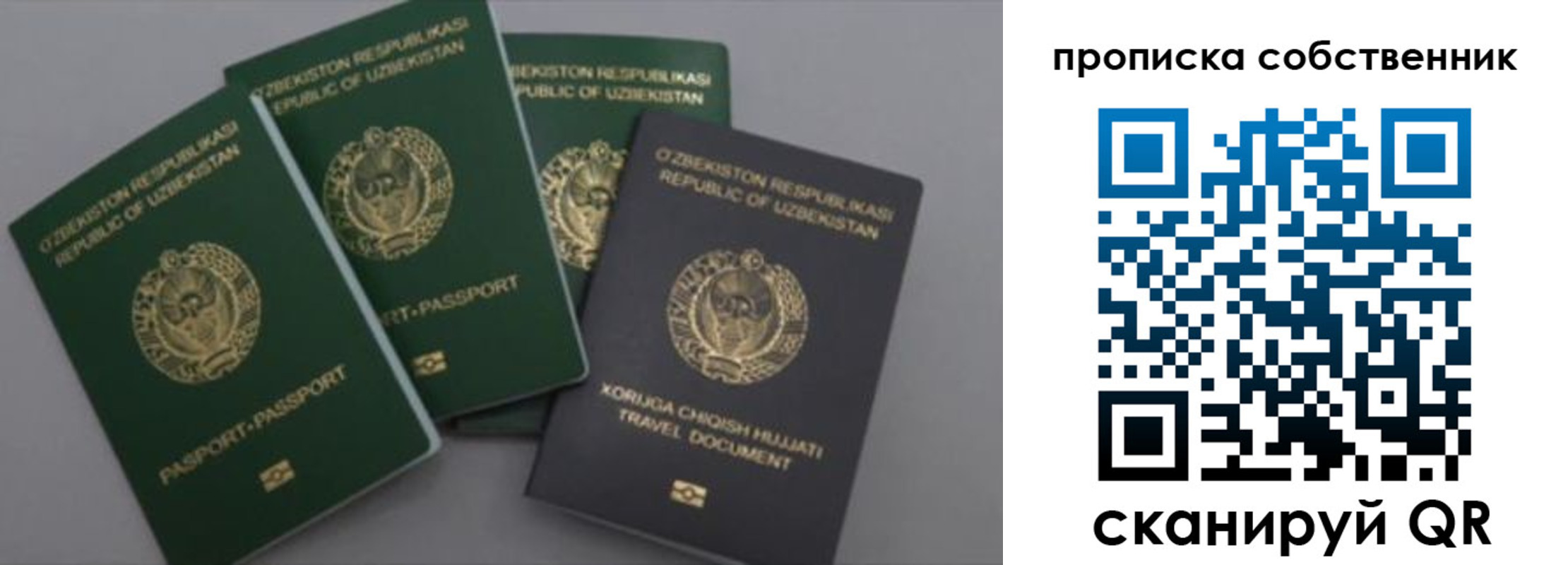 прописка штамп в Зее